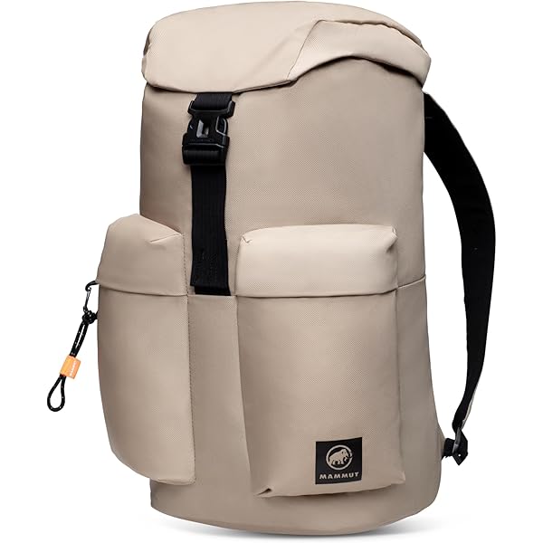 マムート MAMMUT セオン トランスポーター 26 バックパック Amazon.co.jp: MAMMUT マムート セオントランスポーター 26L