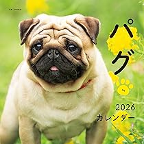 810XpBHkReL._AC_UL210_SR210,