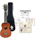 Amazon.co.jp: 【初心者に最適】 ガズのはじめて ウクレレ ソプラノ