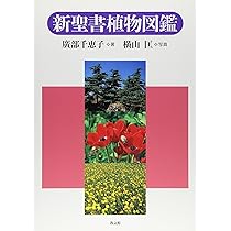 新聖書植物図鑑 | 広部 千恵子, 横山 匡 |本 | 通販 | Amazon