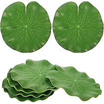 810pu2uySmL._AC_UL210_SR210,