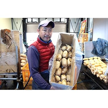 Amazon.co.jp 売れ筋ランキング: れんこん の中で最も人気のある商品です