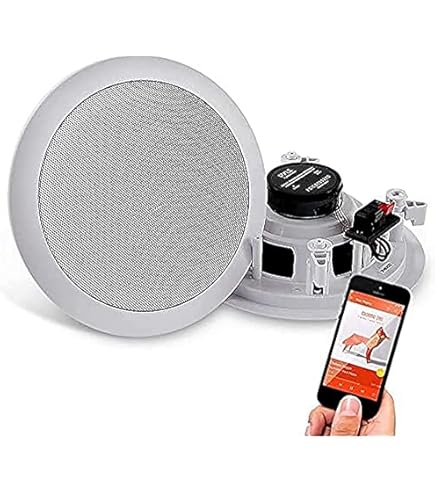 Amazon.co.jp: JBL PROFESSIONAL Control 19CS 天井埋込用 サブ