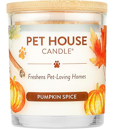 Amazon.co.jp: 2024年シナモンパンプキンスパイスキャンドル、12