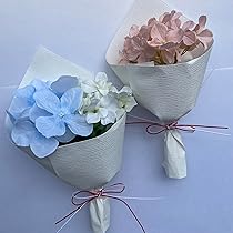 紫陽花　確認用 楽天市場】【花咲き過ぎ・咲き進み】アジサイ（紫陽花・あじさい