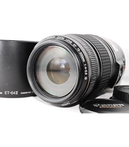 Amazon.co.jp: シグマ 70-300mm F4-5.6 DG OS キヤノン用 70-300mm F4