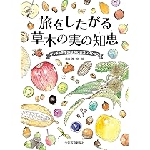 Amazon.co.jp: 旅をしたがる 草木の実の知恵: ゲッチョ先生の草木の実