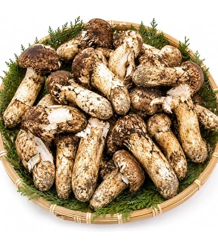 Amazon.co.jp: 新物 松茸1kg 上級ランク 中開き＆開き/冷凍・中国産