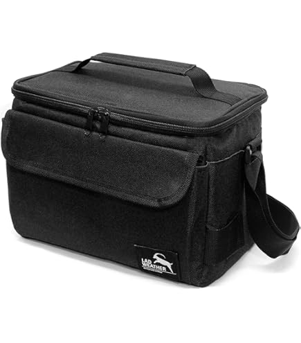Amazon | クーラーボックス ソフトタイプ 10L バッグ ランチ