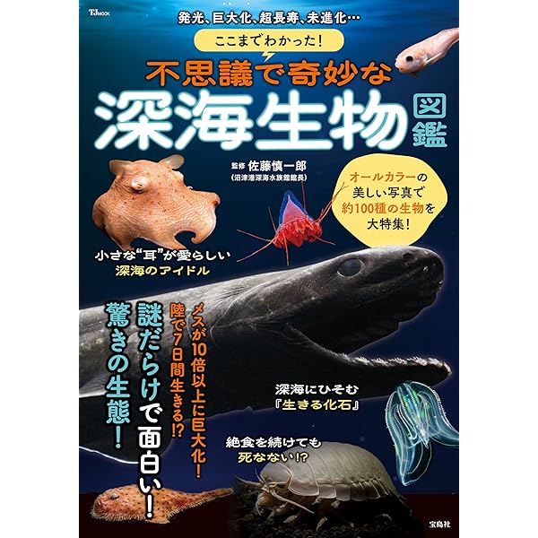 Amazon.co.jp: みんなが知りたい! 深海のひみつ 奇妙な生物たち