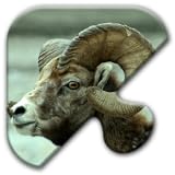 Jigsaw Puzzles Free Game - Chapter 32