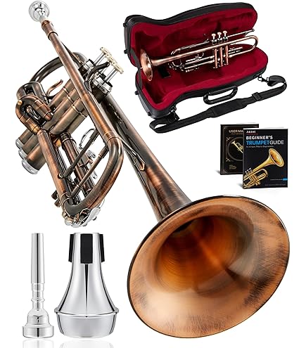 Amazon.co.jp: バック Bach B♭トランペット TR600 ラッカー仕上げ