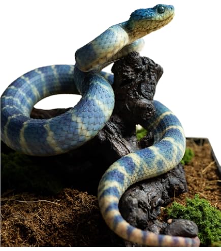 マツカサトカゲ♢フィギュア Amazon.co.jp: 動物惑星 マツカサトカゲ