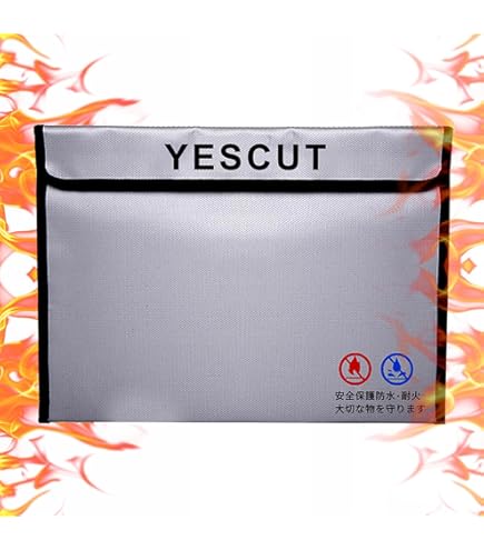 Amazon.co.jp: Cryptosteel Cassette Solo – 耐火ステンレススチール