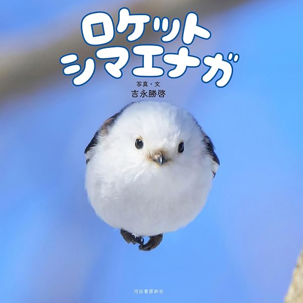 シマエナガのずかん 学研のえほんずかん | ぴよ手帖, ぴよ手帖, 絵