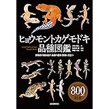 ヒョウモントカゲモドキ品種図鑑: 飼育前の個体選び・品種の選別・繁殖に役立つ