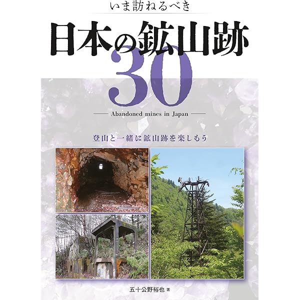 Amazon.co.jp: ある採集家の思考と美しい大粒砂金 Artistic gold