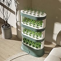 811FuLnd1TL._AC_UL210_SR210,