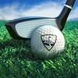 WGT Golf Game by Topgolf