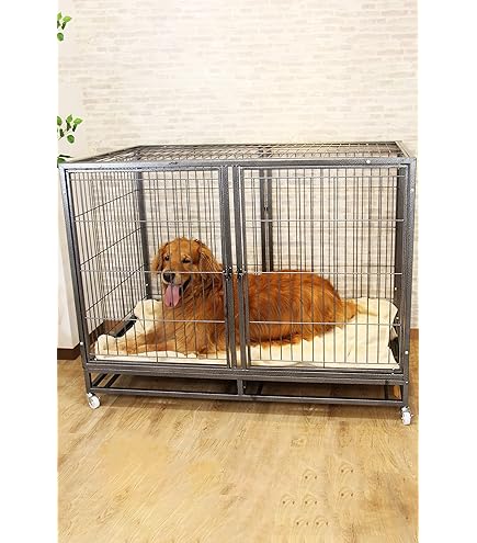 Amazon.co.jp: CAPHAUS 折りたたみ式犬用クレート ワイヤーメタル 犬用