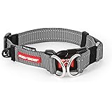 EZYDOG(イージードッグ) 犬用首輪 [正規代理店品] ダブルロックカラー L グレイ