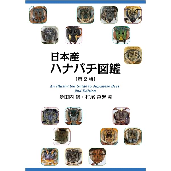 希少・美品】日本原色アブラムシ図鑑 / 森津孫四郎 / 絶版本 