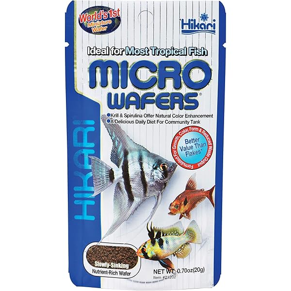 tropical fish food amazon