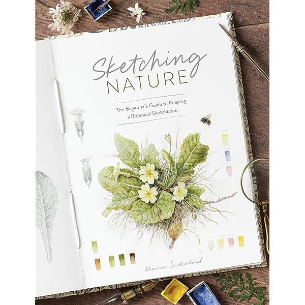 Amazon | Contemporary Botanical Artists: The Shirley Sherwood