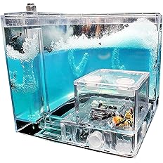 Amazon Co Jp アリ飼育キット アリの巣観察キット アリ 自由研究 飼育ケース 飼育セット 水槽 砂なし 観察 アリの巣 キット 女王アリ 飼育 蟻用飼育ケース アリ飼育箱 昆虫 自由研究 生物実験 科学実験 観察日記 自然 生物 教育玩具 サイズ 約110 X 110 X 110mm Amazon Co Jp アリ飼育キット アリの巣観察キット アリ 自由研究 飼育ケース 飼育セット 水槽 砂なし 観察 アリの巣 キット 女王アリ 飼育 蟻用飼育ケース アリ飼育箱 昆虫 自由研究 生物実験 科学実験 観察日記 自然 生物 教育玩具 サイズ 約110 X 110 X 110mm