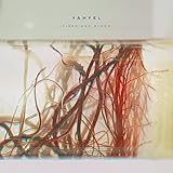 Flesh and Blood [国内盤CD] (BRC530)