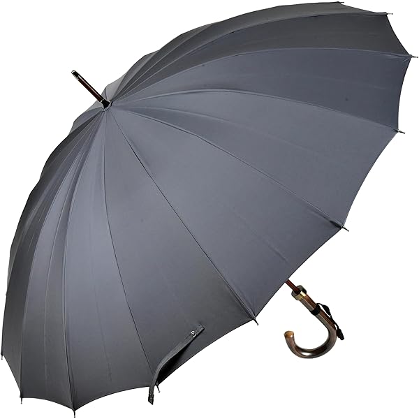 Amazon | 傘 レディース 長傘 前原光榮商店 カーボン 16本骨