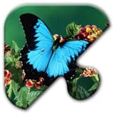 Jigsaw Puzzles Free Game - Chapter 34