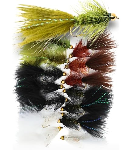 Amazon.co.jp: Fly Fishing Lures Assortment for Trout Fishing and