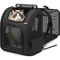 Amazon.co.jp: Pecute 猫用 犬用 リュック ペット猫 キャリーバッグ