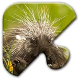 Jigsaw Puzzles Free Game - Chapter 8