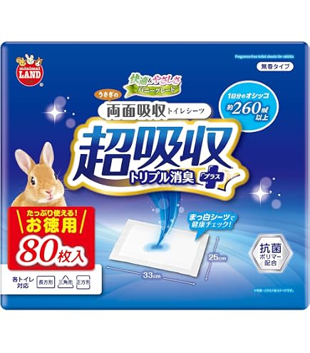 Amazon | ミニマルランド THE・PERFECT ONE 水素サーバーディッシュ