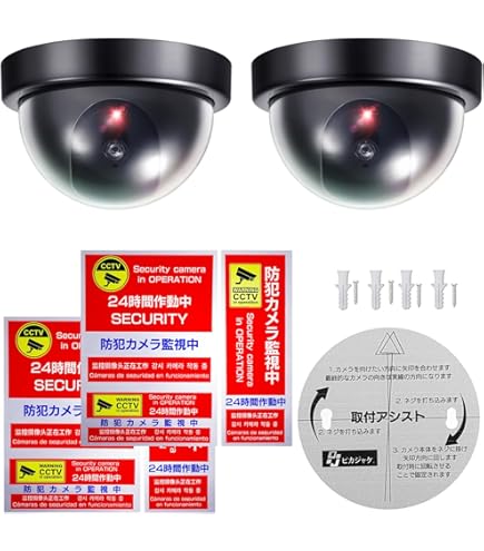 ドーム型 ダミー監視カメラ 2個 フェイク いたずら 防犯対策 LED点滅