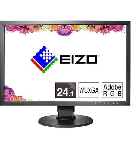 Amazon.co.jp: EIZO ColorEdge CS2400S 24インチ カラーマネジメント
