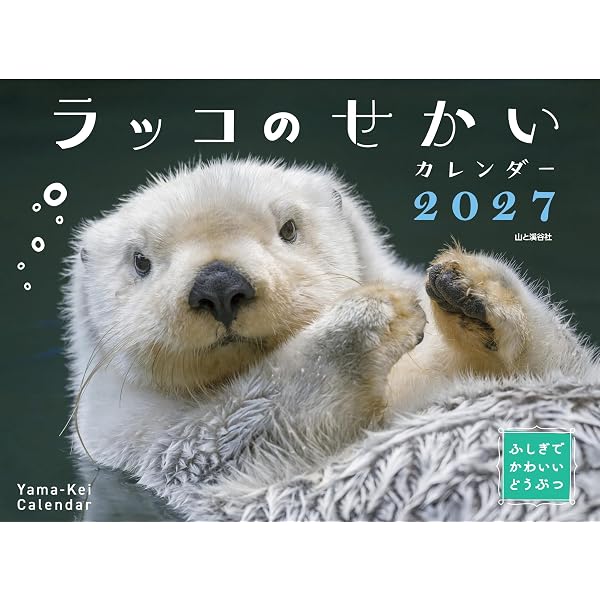 Amazon.co.jp: ラッコ: 霧多布で生まれたA子の物語 : 片岡 義廣: 本