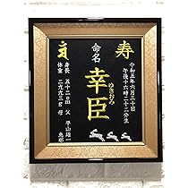 811xTbG0MPL._AC_UL210_SR210, 811xTbG0MPL._AC_UL210_SR210,