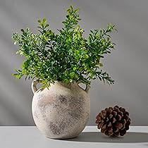 陶器花瓶☀︎ 限定品！ Amazon.co.jp: PORCER アンティークセラミック花瓶、8.3インチ