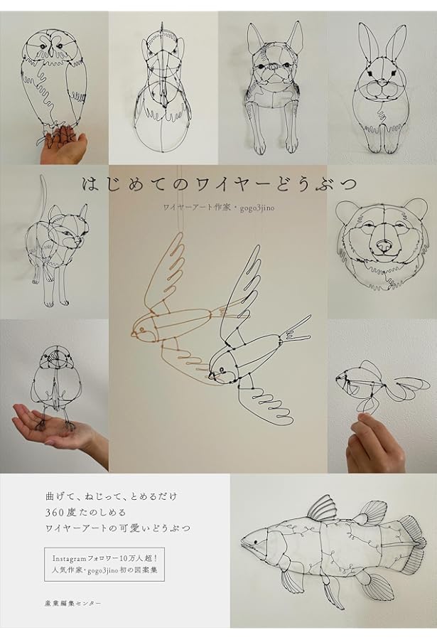 偶然のかたち ワイヤーアートの世界 帯付き 大型本 偶然のかたち