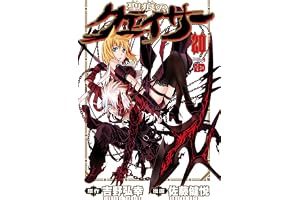 聖痕のクェイサー　20 (チャンピオンREDコミックス)