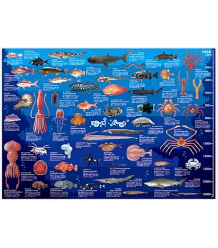 【新品未使用】信州まなぶxSATAbuilder's金魚図A1ポスター額装付き 信州まなぶ×SATAbuilder's 金魚図A1ポスター(額装付き) - メルカリ