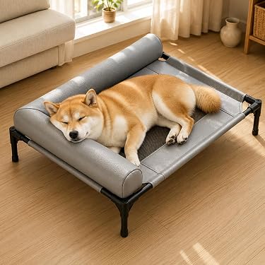 Amazon.co.jp 最新リリース: 犬用ベッド・マット・ステップ の新着
