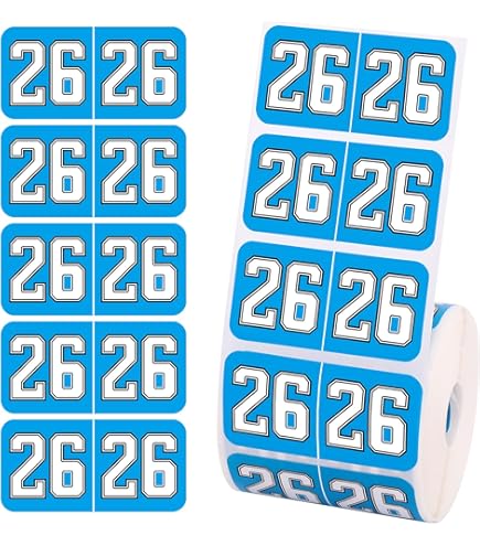 500pcs 2025 New Year Stickers File Folder Labels, Medicine Labels 2025 Year Stickers Tab File