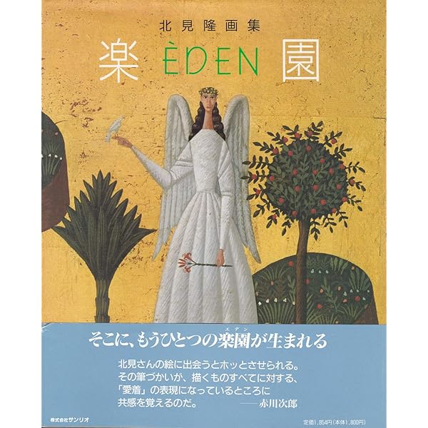 イラストレーター 北見隆「片翼の天使」直筆サイン 限定版画 Amazon.co.jp: 北見隆 装幀画集 書物の幻影 (TH ART SERIES