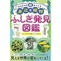 かんさつの眼をつくる 身近な植物ふしぎ発見図鑑 | 岩槻秀明 |本