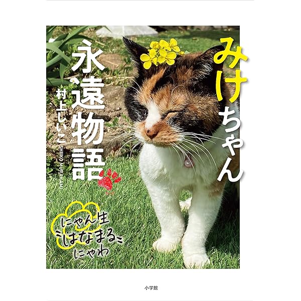 にゃんたろうさん専用 Amazon.co.jp: にゃんたろうさん。: ぼくの時間をムダにした、ある猫の
