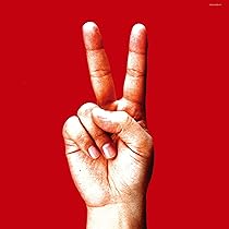 その他 2LP bloodthirsty butchers banging the drum COJA94845 NIPPON COLUMBIA /00660 Bloodthirsty Butchers - banging the drum